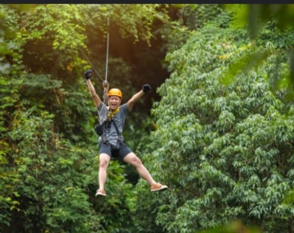 ZIPLINE - Image 2